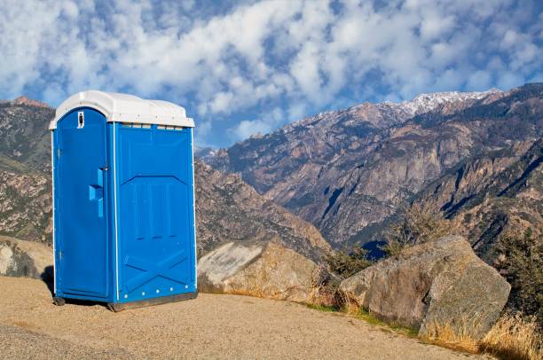 Best Sanitation services for porta potties  in Williamstown, WV