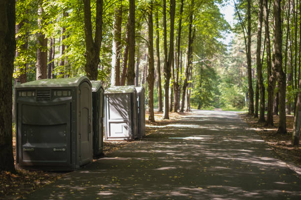 Best Affordable portable toilet rental  in Williamstown, WV